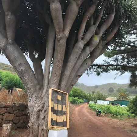 Venkovský dům El Vergel Rural *